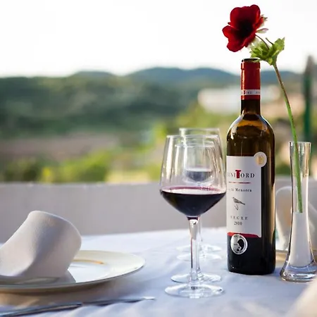 S'engolidor * Santo Tomás